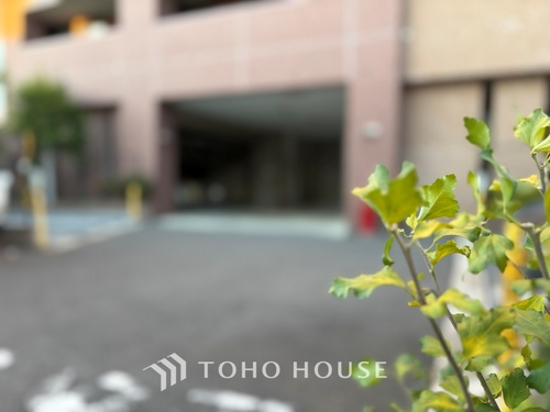 シーズガーデン石神井公園の物件画像