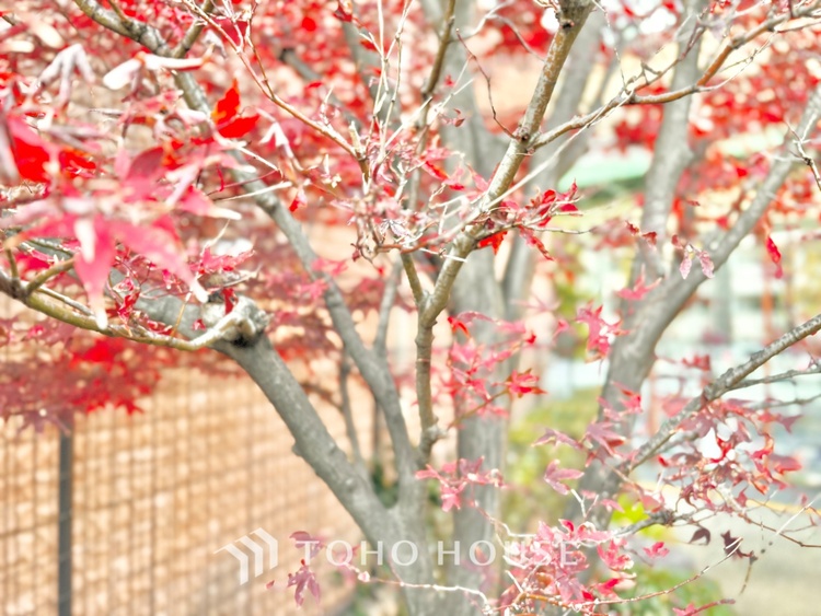 外観 ほんの少しのこだわり。ちょっとした色使いがその家がもつ雰囲気、趣（おもむき）を携え、暮らす家族や訪ねてくる友人・知人に新鮮な香りを運んできます。