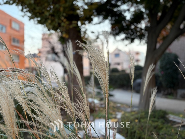 外観 ほんの少しのこだわり。ちょっとした色使いがその家がもつ雰囲気、趣（おもむき）を携え、暮らす家族や訪ねてくる友人・知人に新鮮な香りを運んできます。