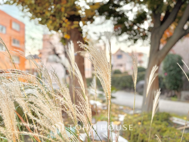 外観 ほんの少しのこだわり。ちょっとした色使いがその家がもつ雰囲気、趣（おもむき）を携え、暮らす家族や訪ねてくる友人・知人に新鮮な香りを運んできます。