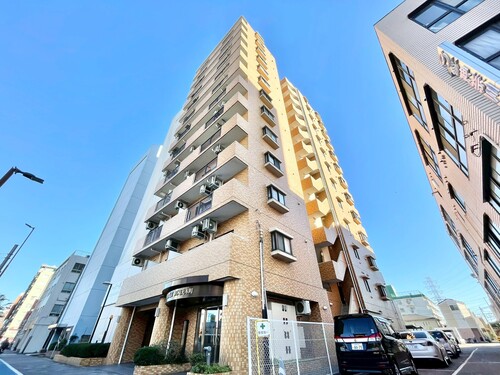 ダイアパレス川崎元木町の物件画像