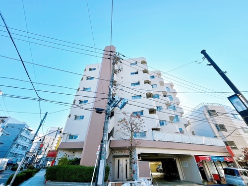 メイゾン向島の物件画像