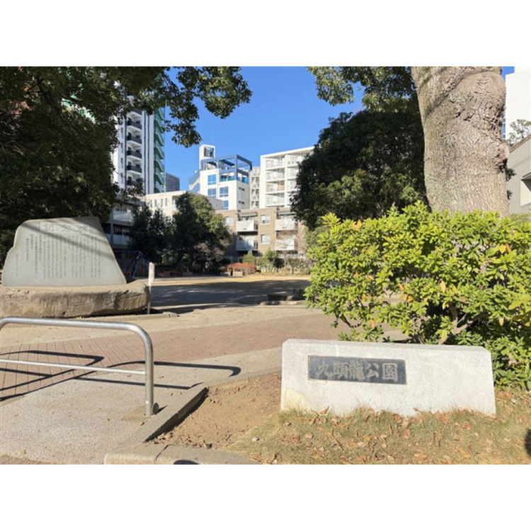 周辺 九頭竜公園(約197m)