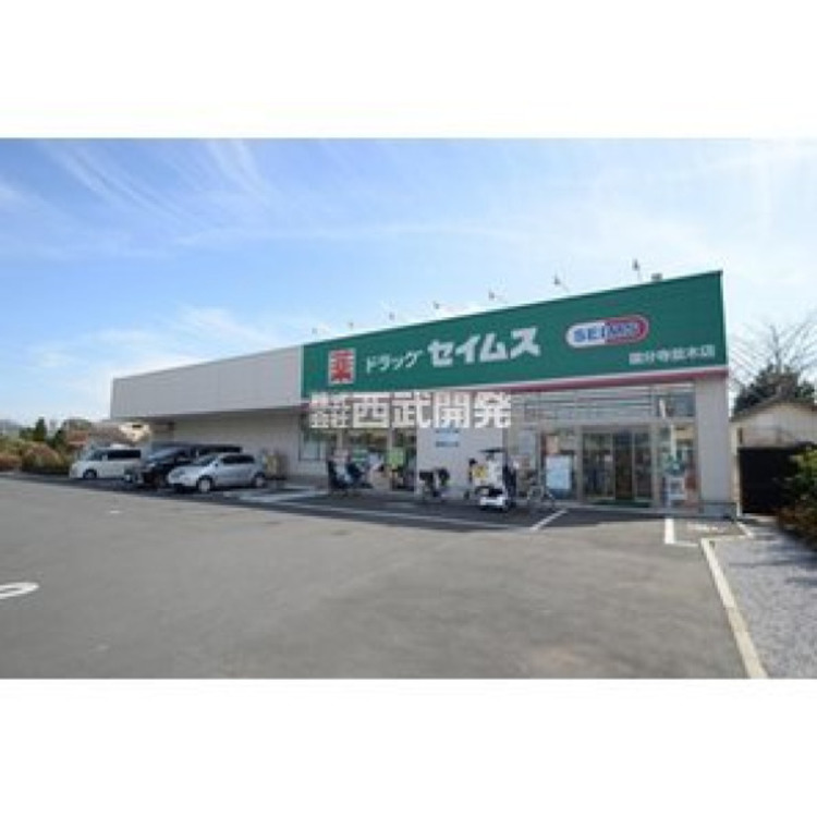 周辺 セイムス(約750m)