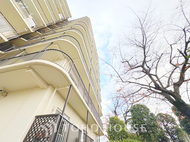 外観 スケルトンリノベーション（内装・設備・配管などをすべて解体し、間取りを含めて一から作り直す大規模なリノベーション）実施中！2026年1月末完成予定