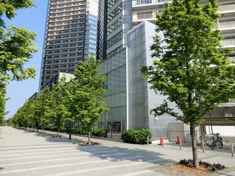 周辺 キンダーキッズインターナショナルスクールまで約500m