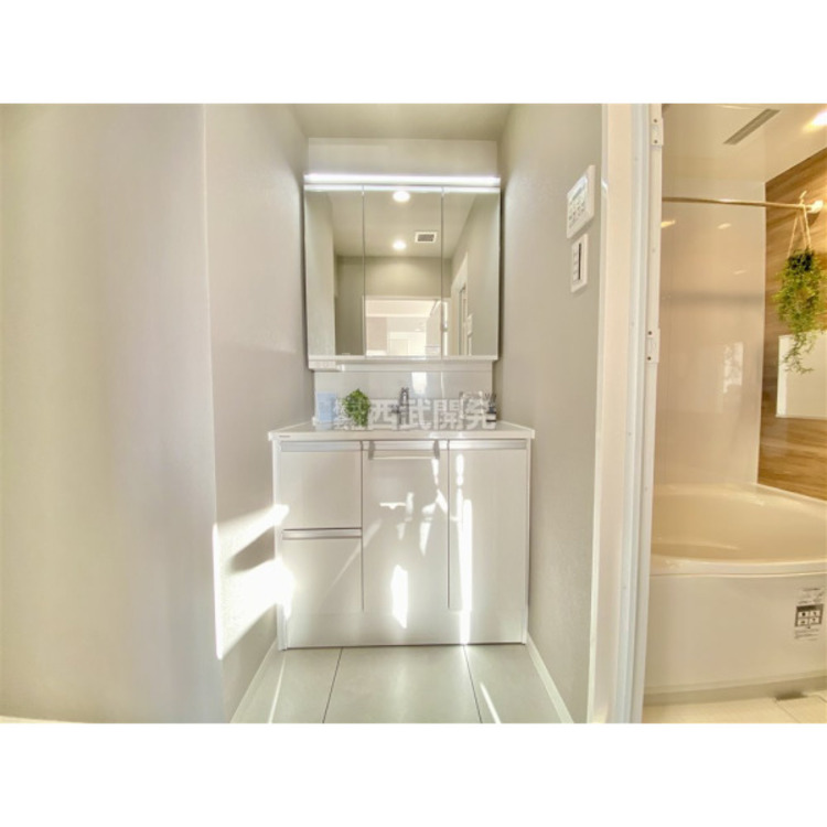 洗面 三面鏡、ハンドシャワー付きの洗面化粧台でラクラク朝シャン