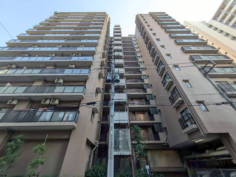 その他 忙しく過ぎゆく日常を置き去るほど、ゆったりした時間が流れる住環境。