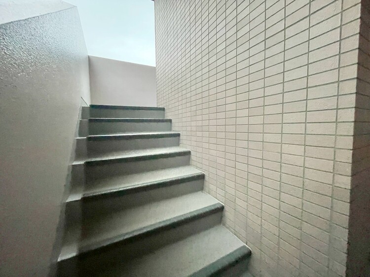 その他 共用部の階段です。明るく清潔に管理されています。