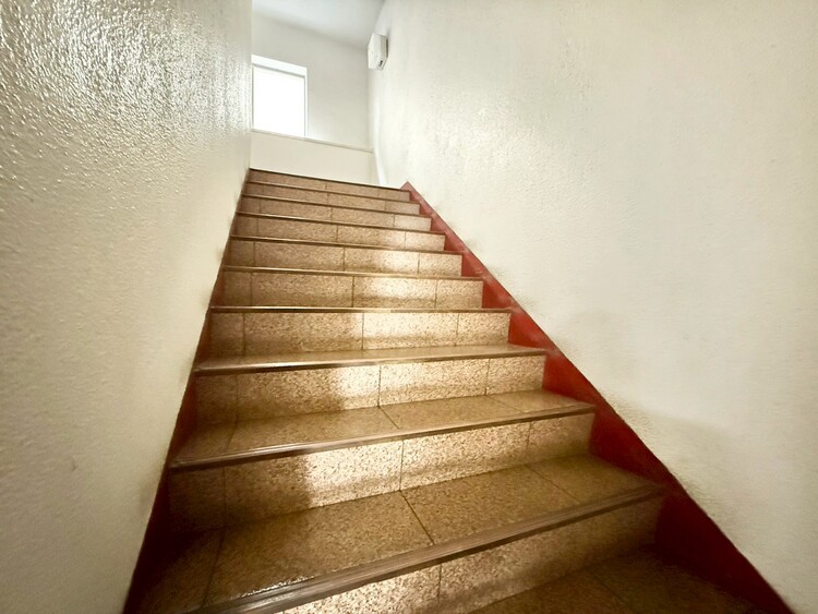 その他 共用部の階段です。明るく清潔に管理されています。