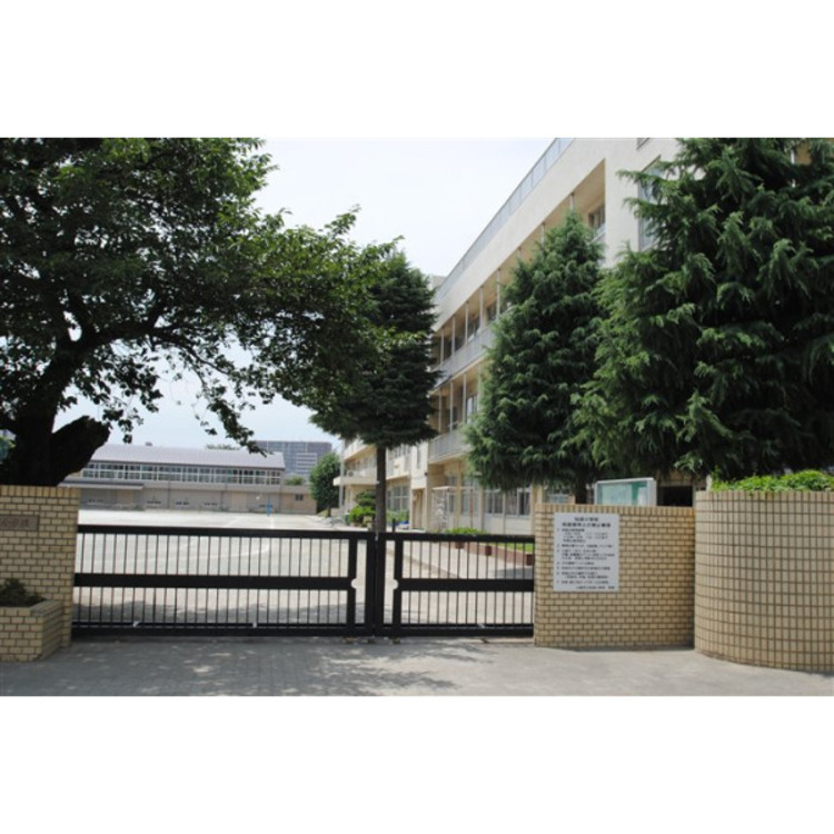 周辺 仙波小学校(約440m)