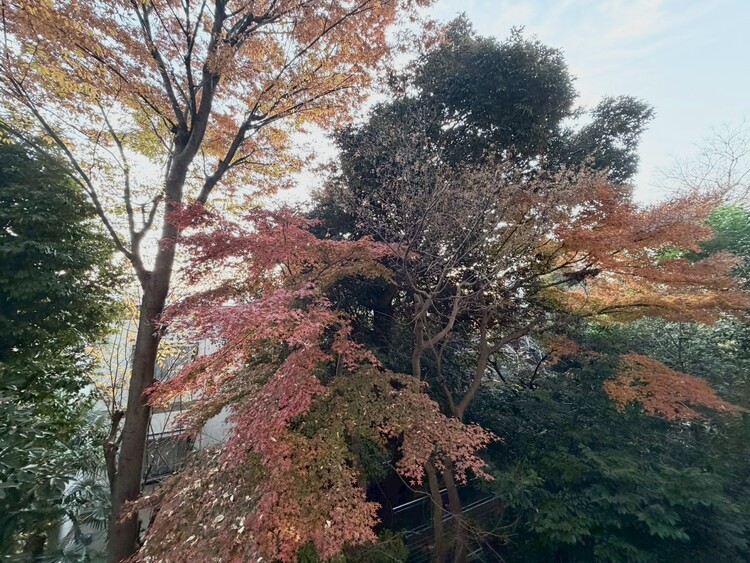 その他 陽当たり・通風・開放感に恵まれた環境です。