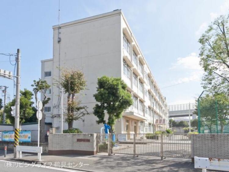 周辺 横浜市立本牧南小学校　230ｍ