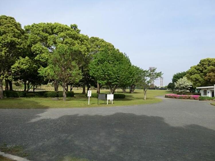 周辺 本牧市民公園　810ｍ