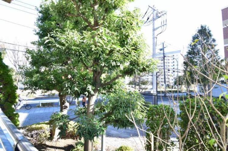 その他 この街ならではの美しい風景と、ここから紡がれる物語が始まります。