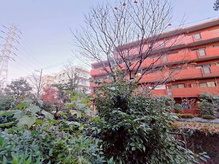 その他 陽当たり・通風・開放感に恵まれた環境です。