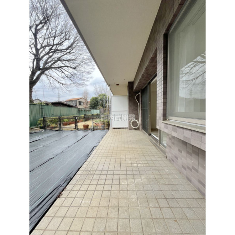 その他 2025年3月4日撮影