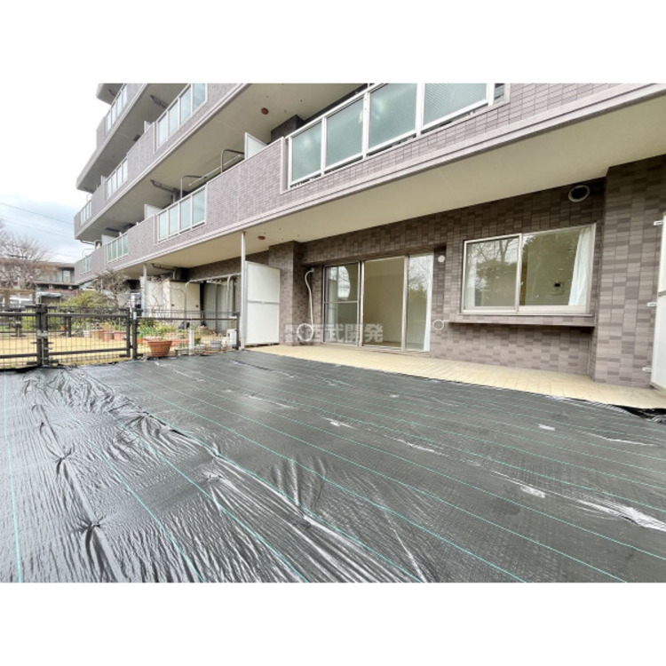 その他 2025年3月4日撮影