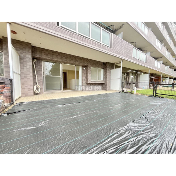 その他 2025年3月4日撮影