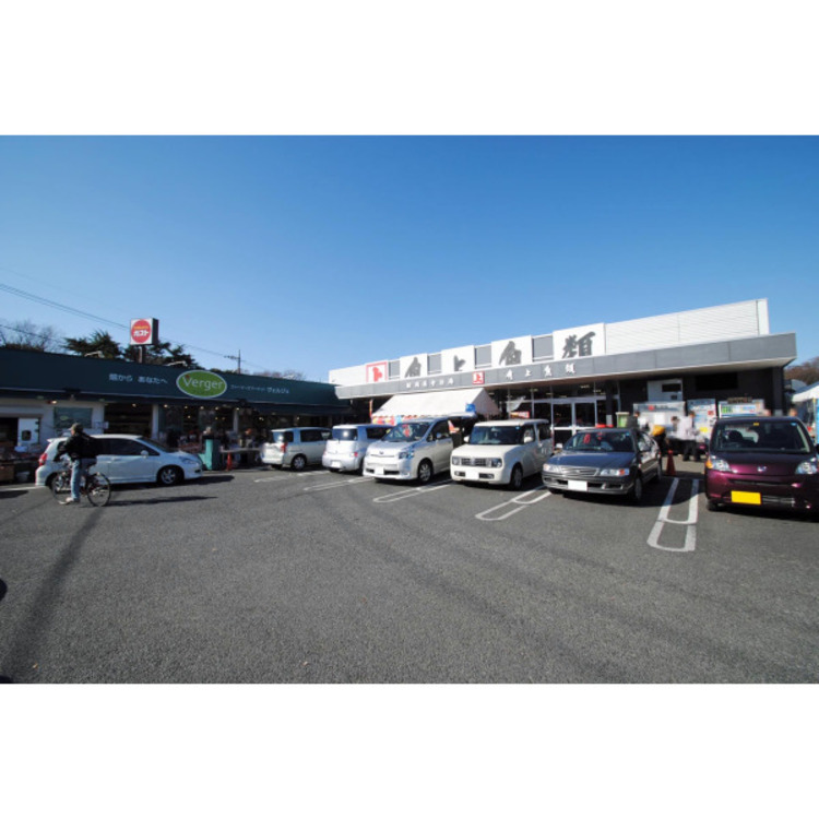 周辺 角上魚類(約400m)