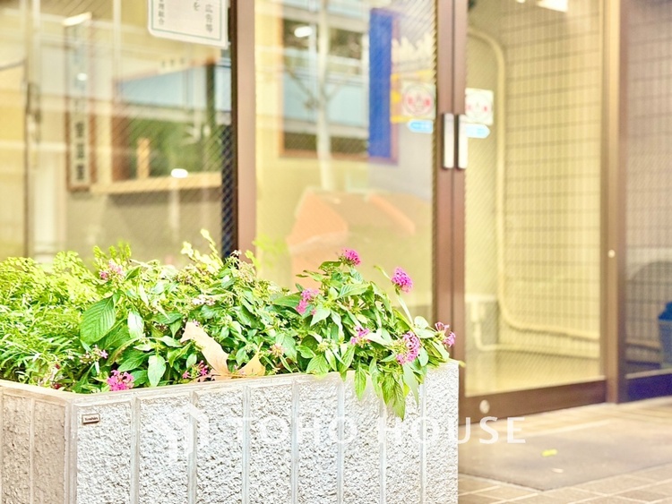 外観 【そよぐ風、緑の香り】澄み切った空気。移ろう季節の中、ゆっくりと流れる時間を、大切な人と愛でる至福。幸せを噛みしめる穏やかな生活。