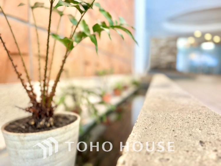 外観 【APPEARANCE】◆眩い◆光が燦々と入り、家族の笑顔を照らす。「いつまでも続いて」と願う夢のような毎日がここにある。