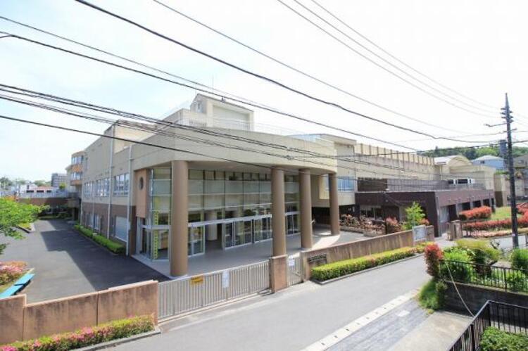 周辺 柿生小学校まで約664ｍ