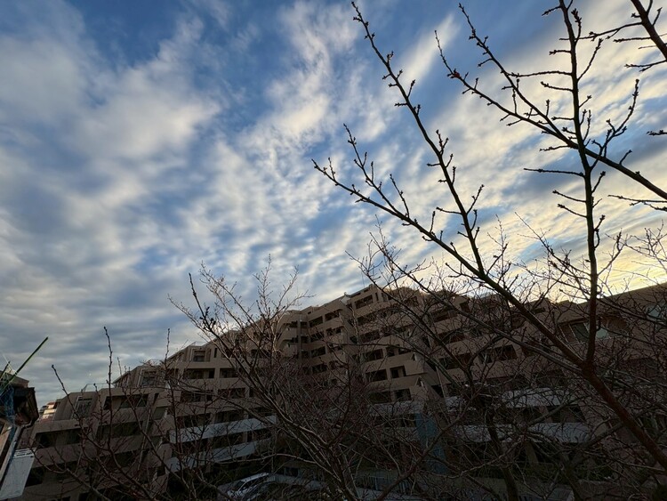 その他 陽当たり・通風・開放感に恵まれた環境です。