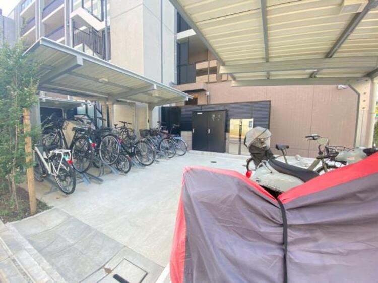 その他 【2025年9月撮影】