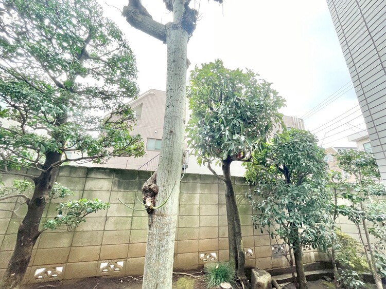 バルコニー 眺望や窓からの景色が良いと、家で過ごす時間も快適です。