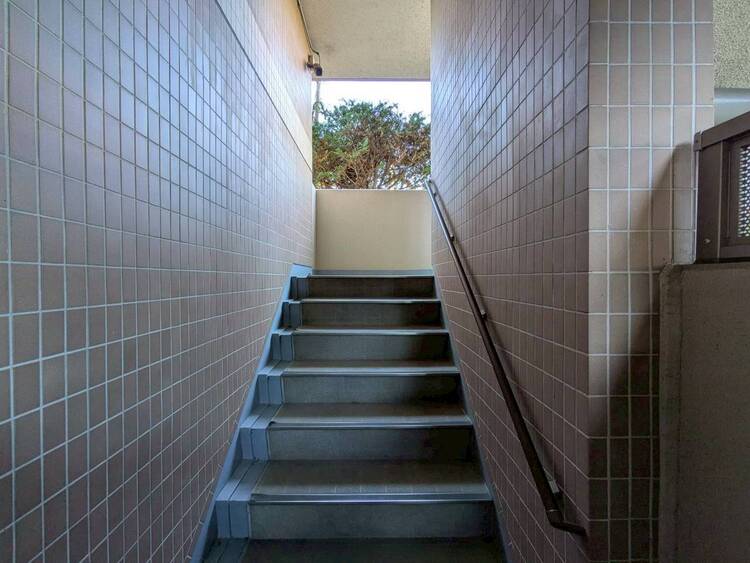 設備 共用部の階段です。明るく清潔に管理されています。