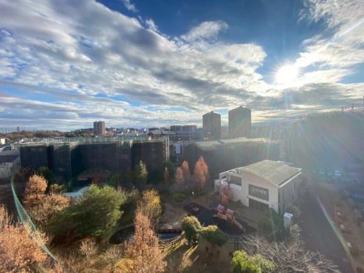 その他 【2025年12月撮影】