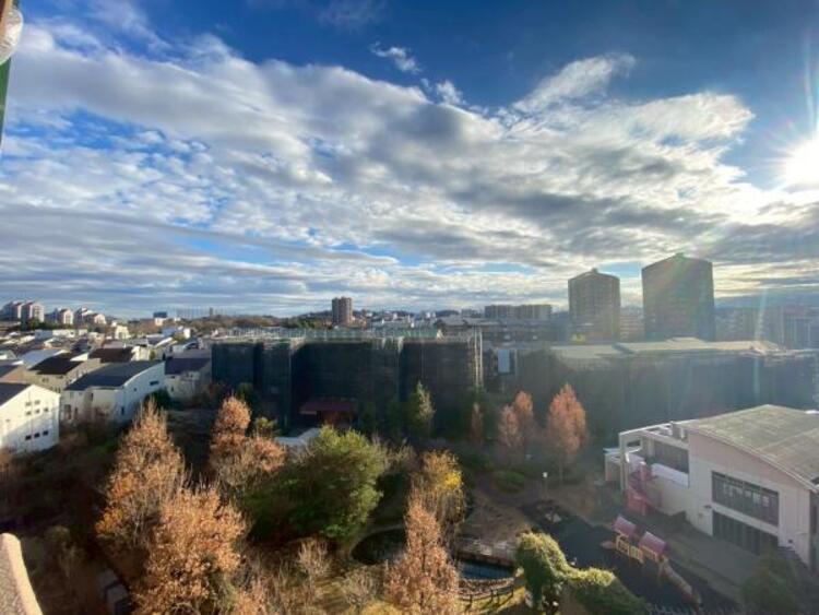 その他 【2025年12月撮影】