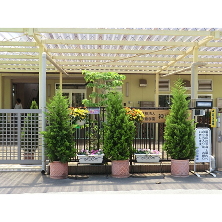 周辺 神山幼稚園(約750m)
