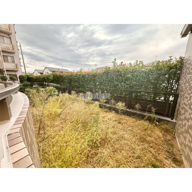 その他 【専用庭】2025年11月13日撮影