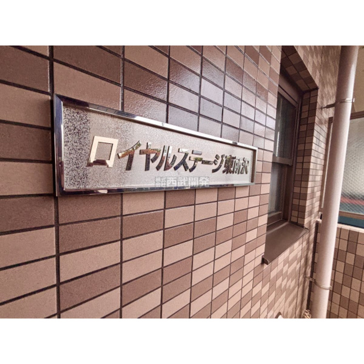 その他 2025年11月13日撮影