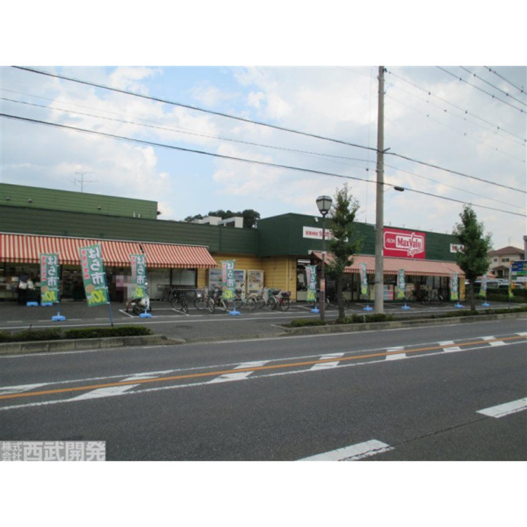 周辺 マックスバリュエクスプレス(約520m)