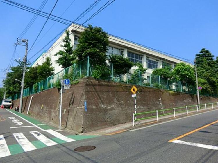 周辺 大田区立池雪小学校  750m