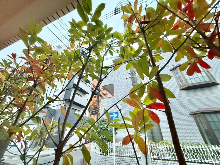 その他 陽当たり・通風・開放感に恵まれた環境です。