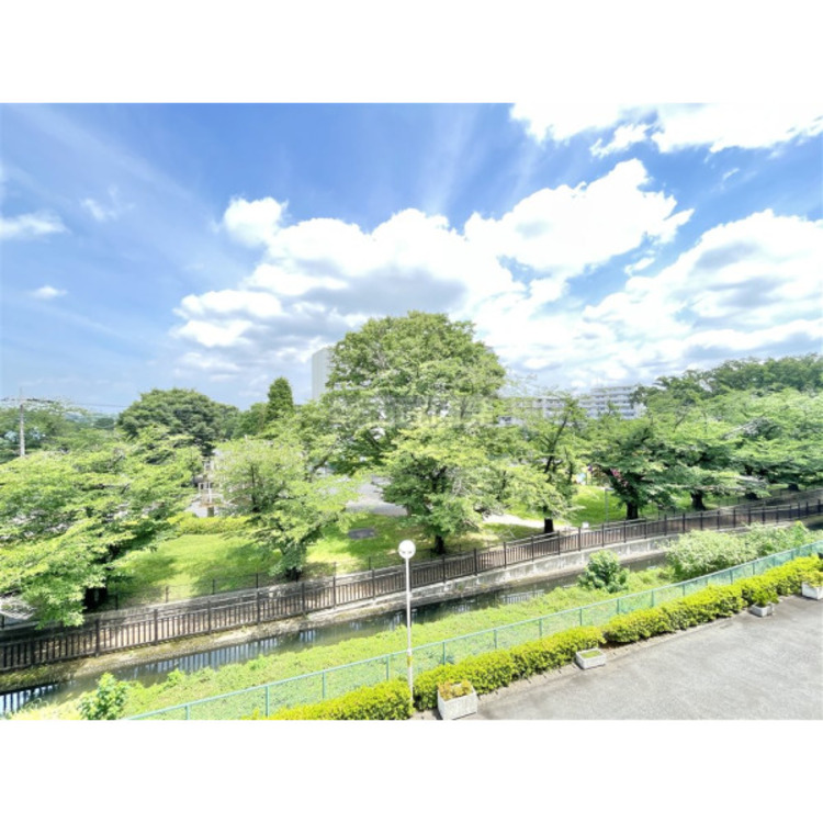 その他 北側洋室からの眺望、春は桜が咲きます