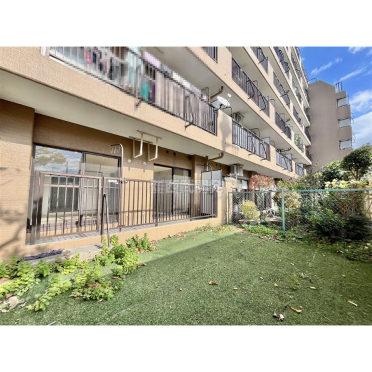 その他 12月6日撮影/専用庭