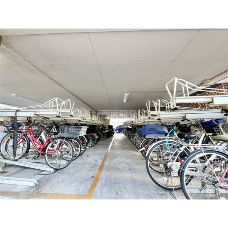 その他 12月6日撮影