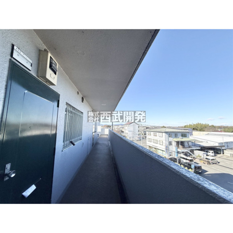 その他 12月12日撮影