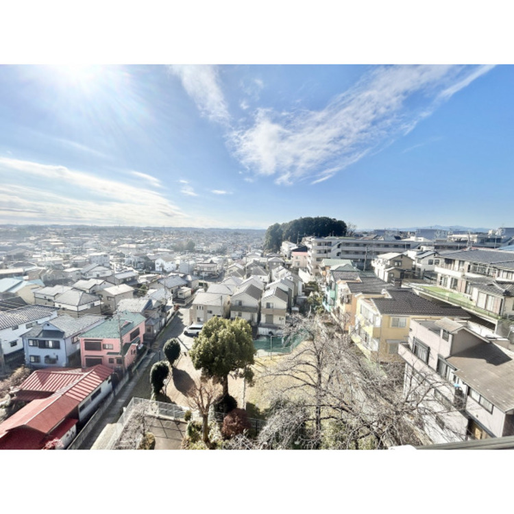 その他 12月19日撮影