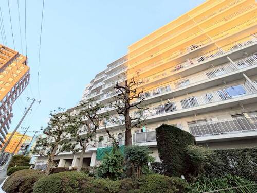 目白ガーデニアの物件画像