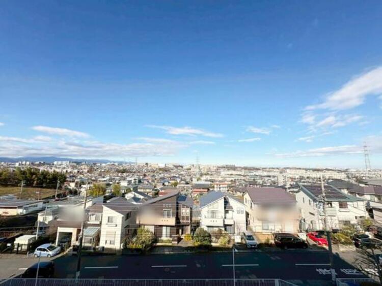 その他 【2025年12月撮影】