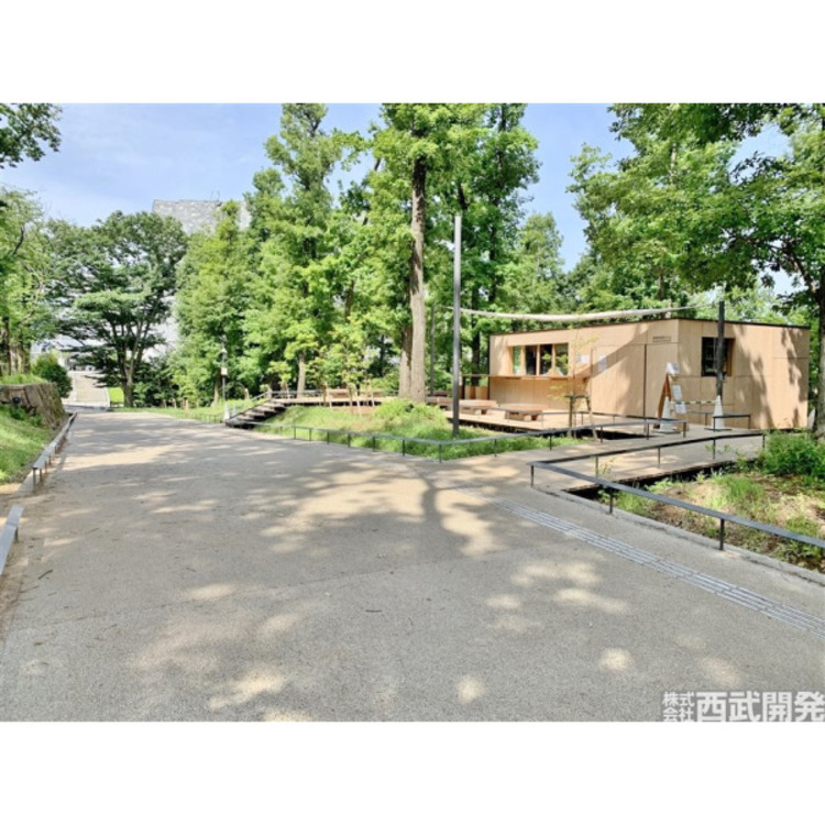 周辺 東所沢公園(約250m)