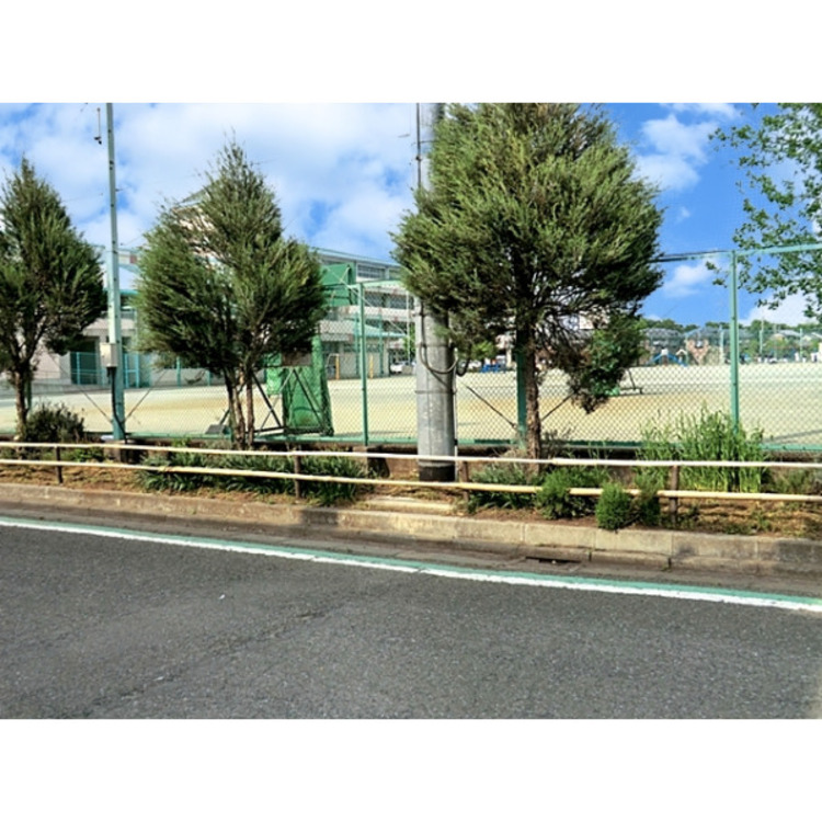 周辺 和田小学校(約360m)