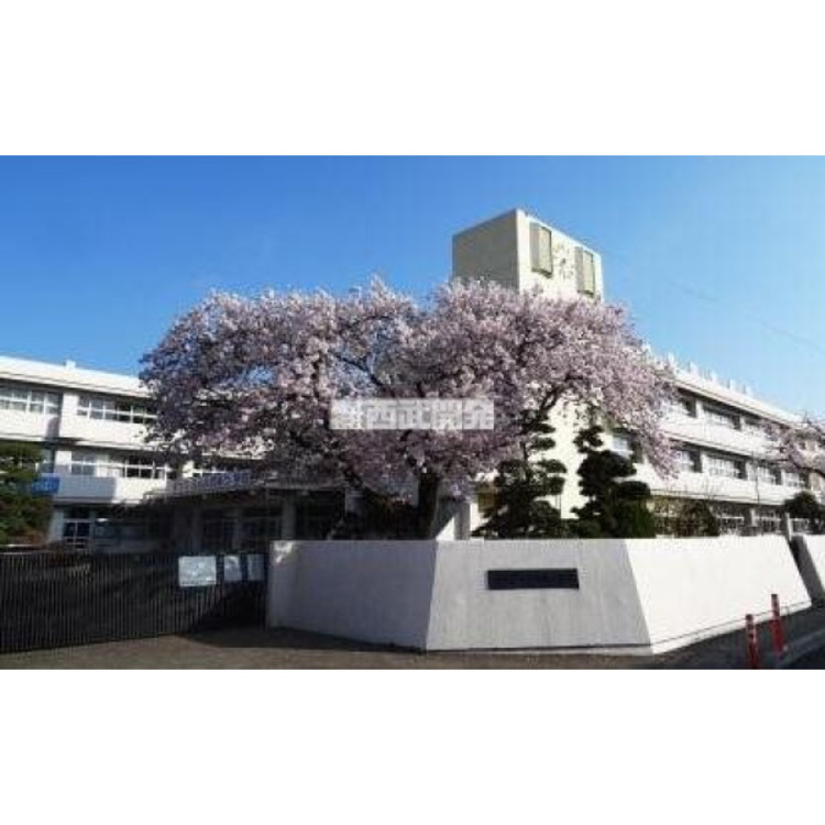 周辺 泉野小学校(約1230m)