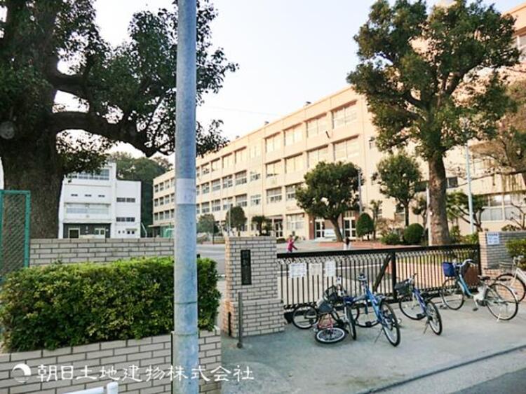 周辺 横浜市立新井小学校1100ｍ